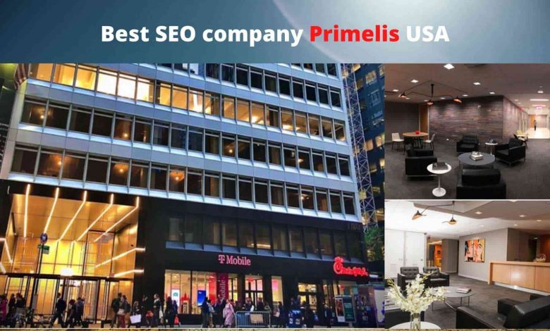 Best SEO company Primelis