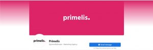 Facebook Page of seo company primelis 