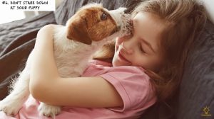 Boys And a Dog Homemaking Homeschooling Tips