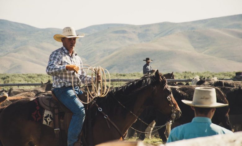 Cowboy Hats for Men