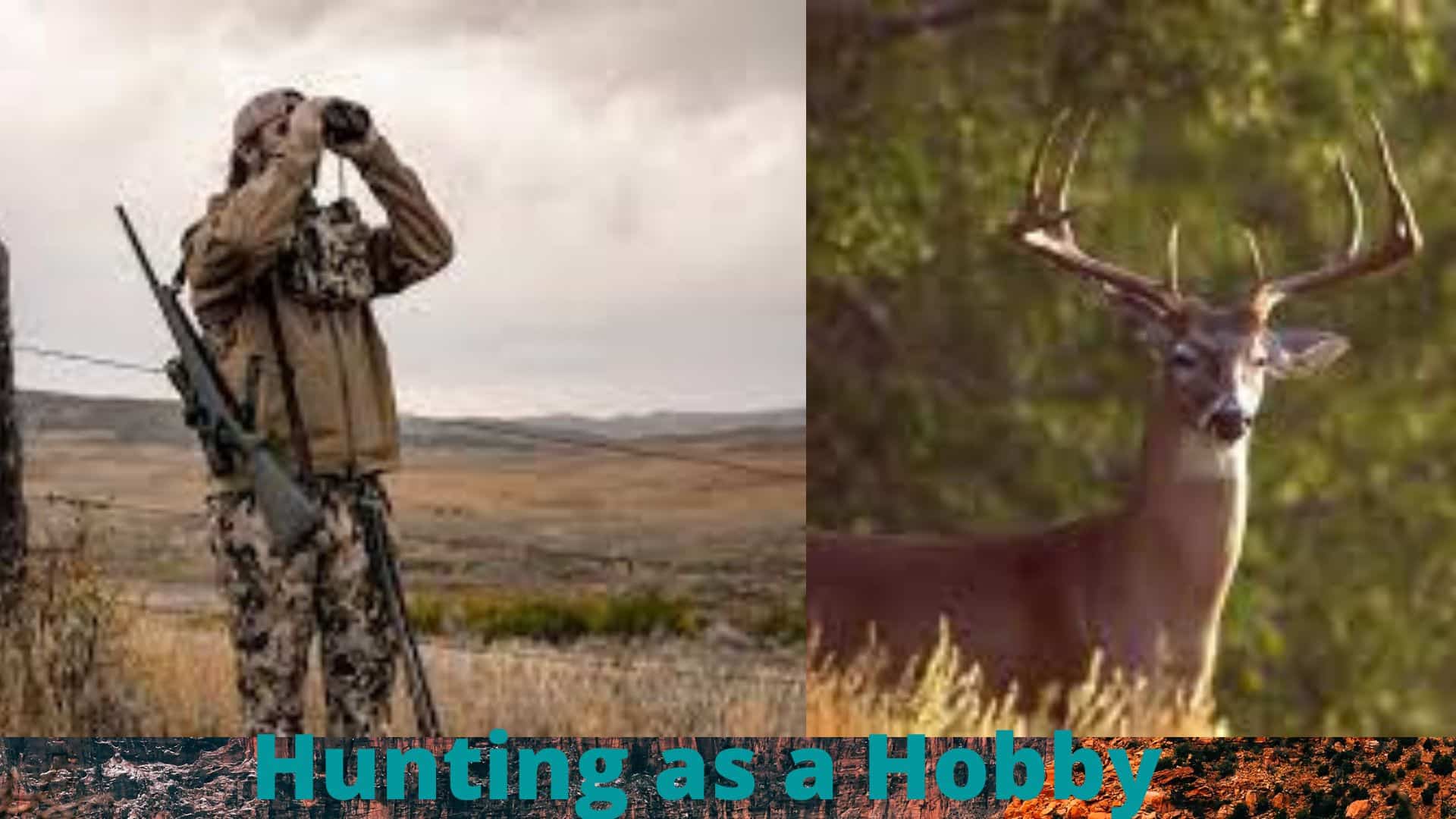 Hunting as a Hobby