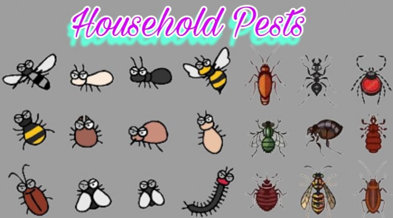 The 10 Most Common Household Pests You Should Know