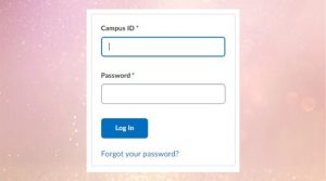 MyCSULB log in