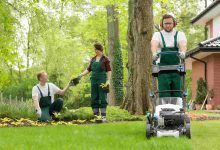 landscaping and lawn care
