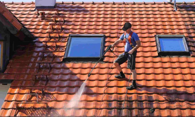 roof cleaning company