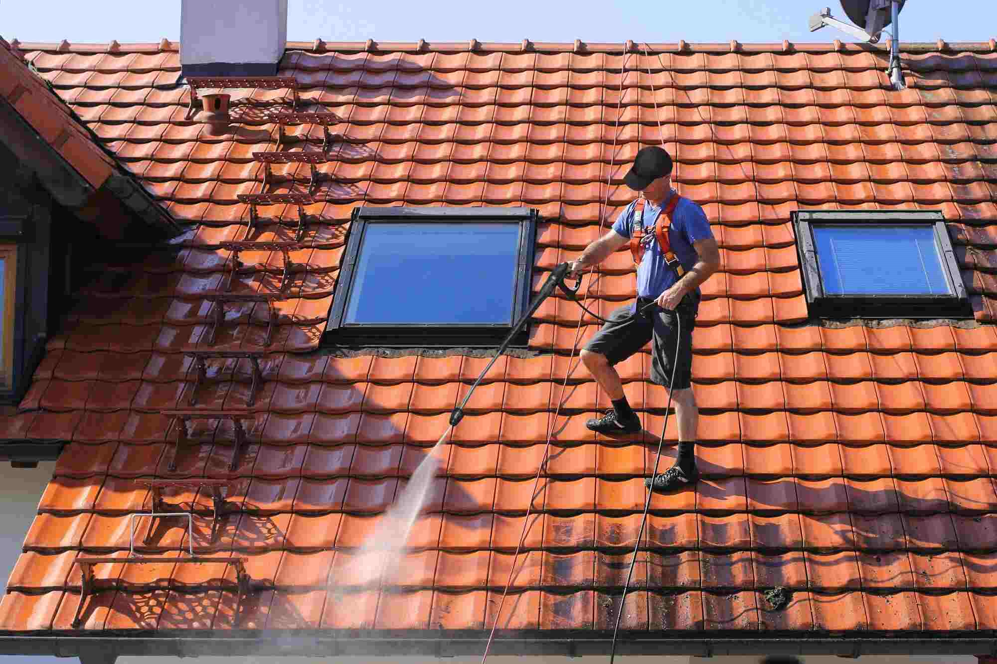 roof cleaning company