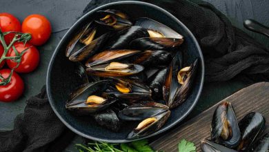 mussel meat recipes