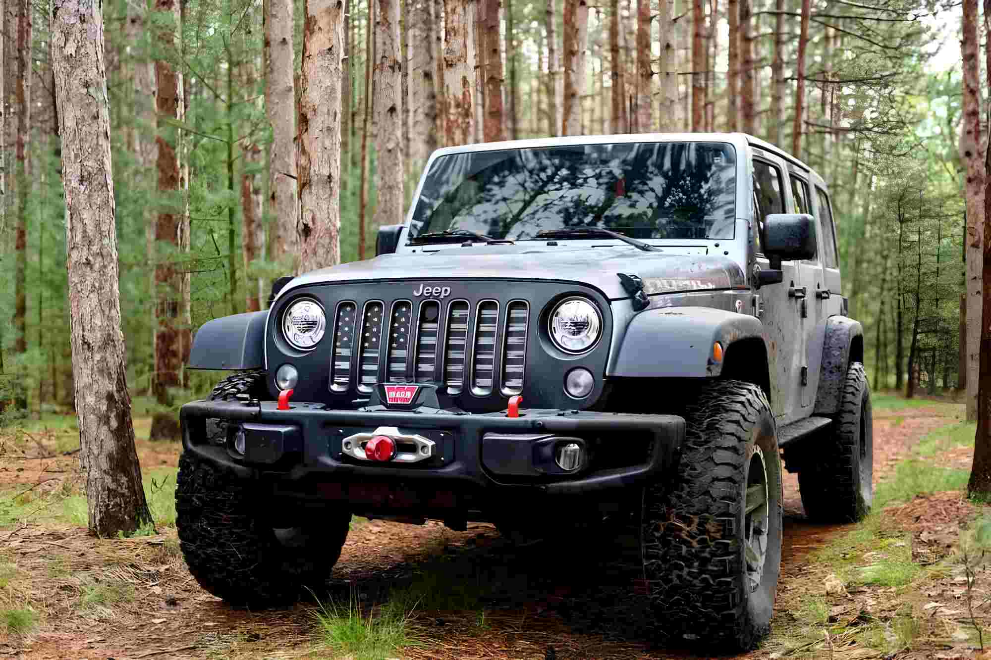 owner type jeep