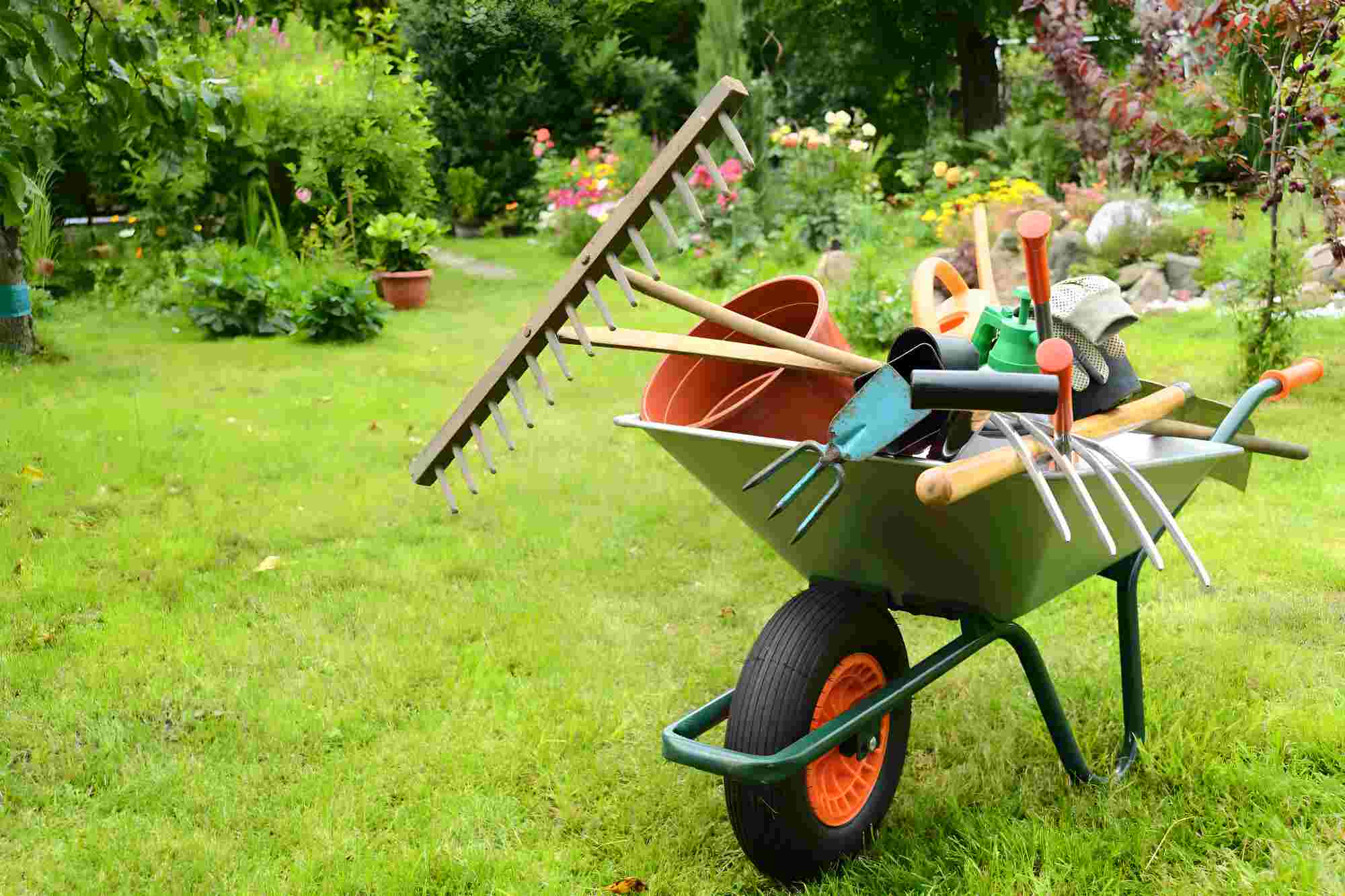 professional gardening tools