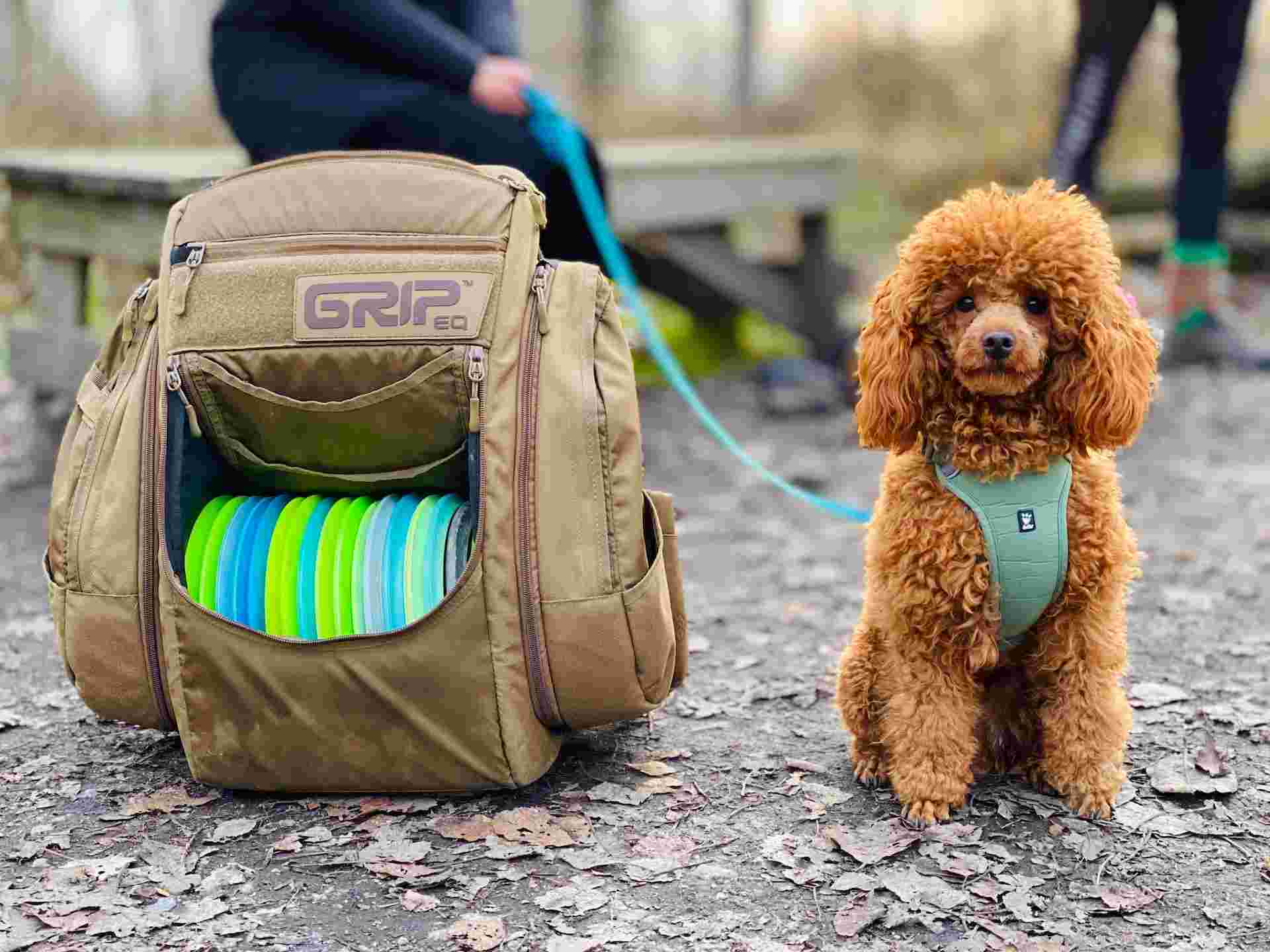 Disc golf essentials