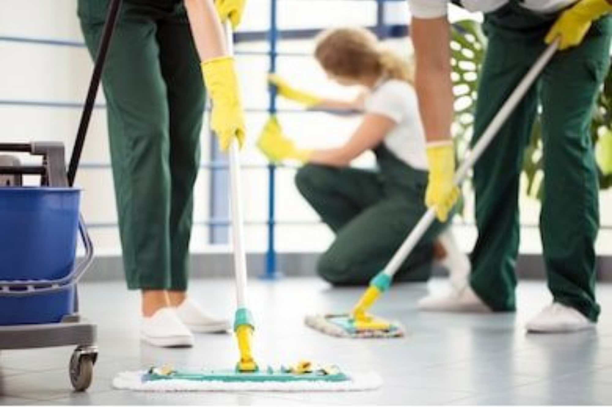 expert cleaning services