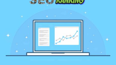 SEO Rankings
