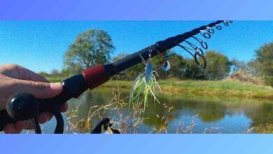Telescopic Fishing Rod