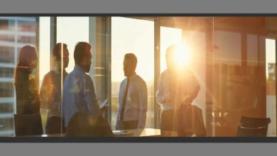 Professional Plumbers