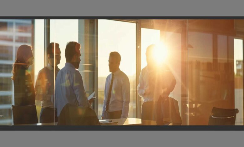 Professional Plumbers